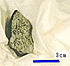 meteorite sample